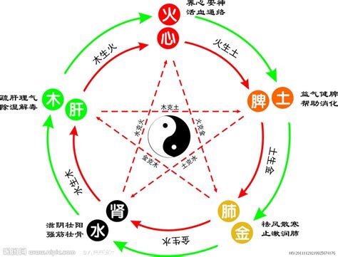 宗 五行|宗的五行